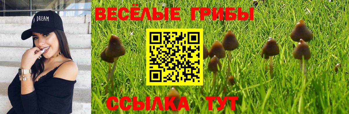 Псилоцибиновые грибы Psilocybine cubensis Нижнекамск
