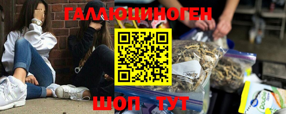 Псилоцибиновые грибы мухоморы  Вход с VPN  Нижнекамск  Псилоцибиновые грибы Psilocybine cubensis 